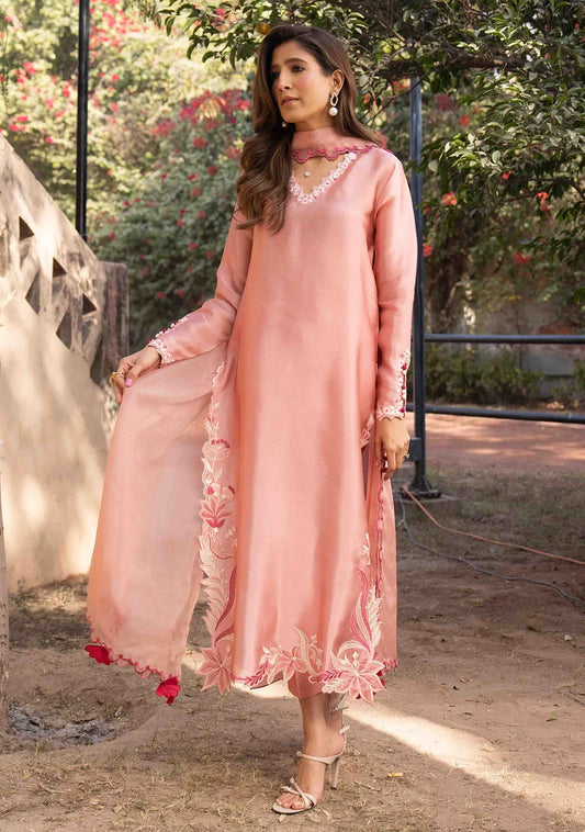 ZAINAB ZULFIQAR  -  Naida Pink